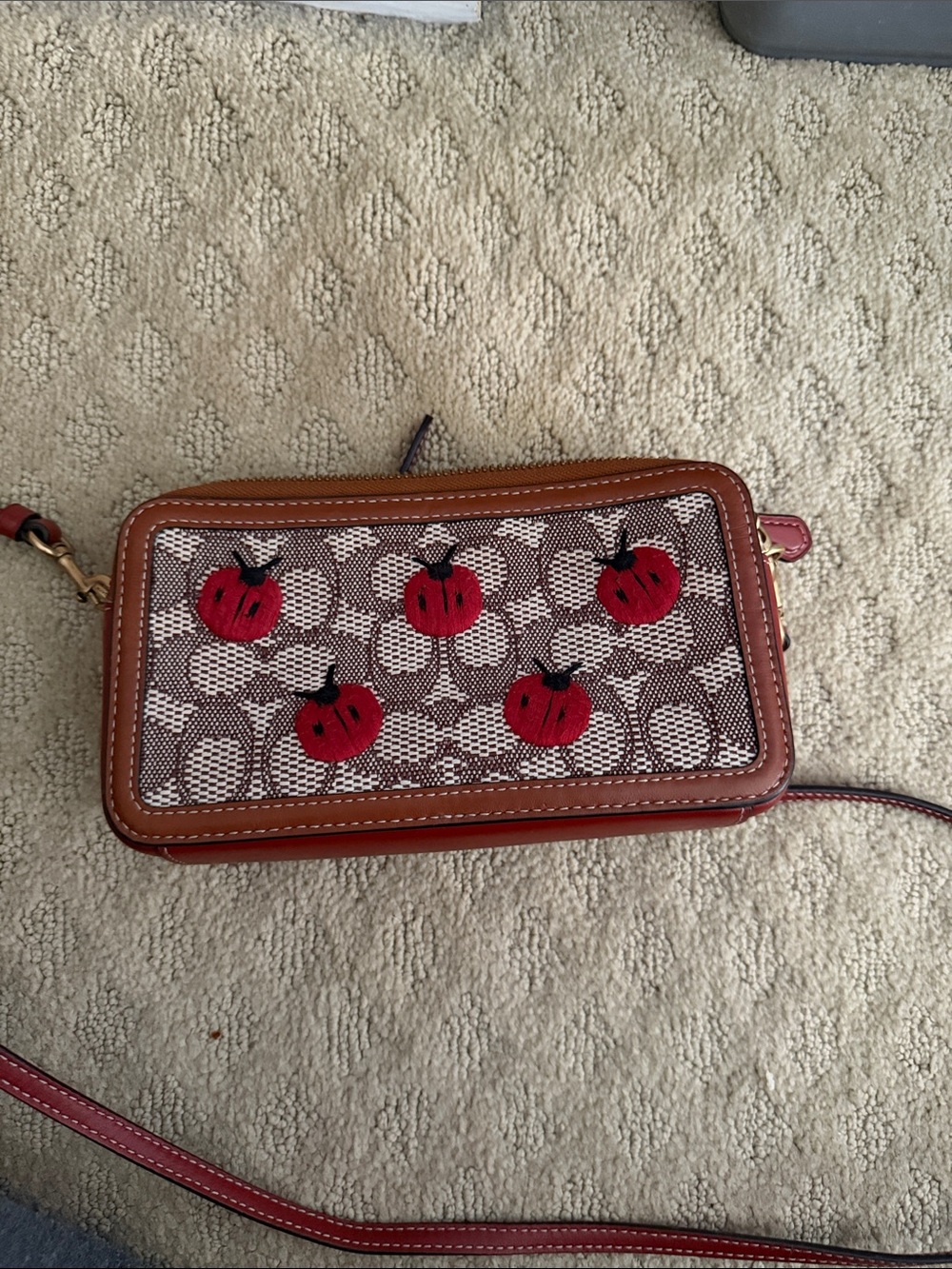 Coach Kira crossbody bag with ladybugs